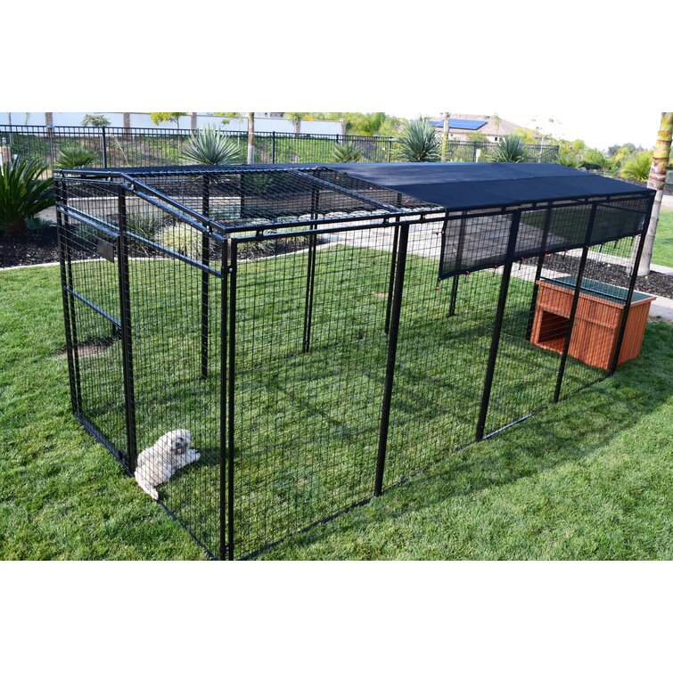 Dog kennel clearance with predator top